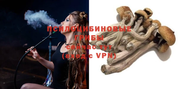 PSILOCYBIN Вязники